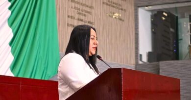 Proponen integrar la protección animal y ambiental en la Constitución de Morelos, impulsando educación y legislación para erradicar el maltrato y fomentar el respeto.