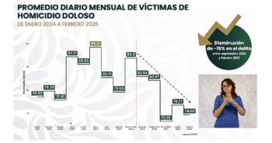 Entre septiembre de 2024 y febrero de 2025, los homicidios dolosos en México disminuyeron un 15%, reflejando avances en la estrategia de seguridad del gobierno de Claudia Sheinbaum.