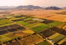 Con inversión superior a 3 mdp, se inaugura tecnificación de riego por goteo en pozos de Tepalcingo para fortalecer el agro sustentable en Morelos.